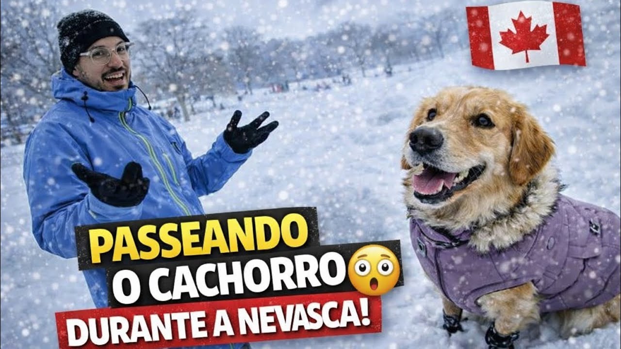 Passeando o cachorro na NEVASCA no Canadá 🇨🇦 😳