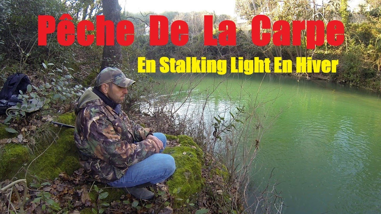 Pêche De La Carpe En Stalking Light En Hiver