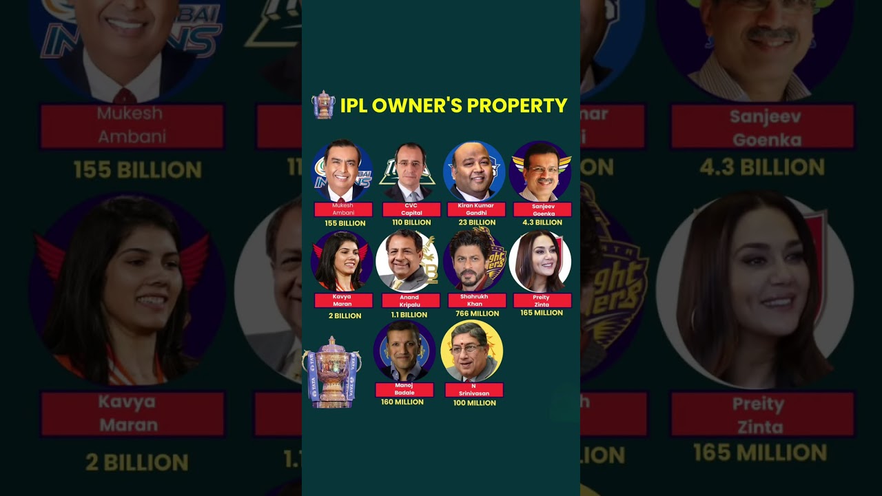 IPL Team Owners and Their Net Worth #ipl #cricket