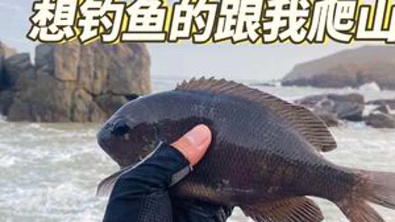 钓鱼佬从不缺风景看！