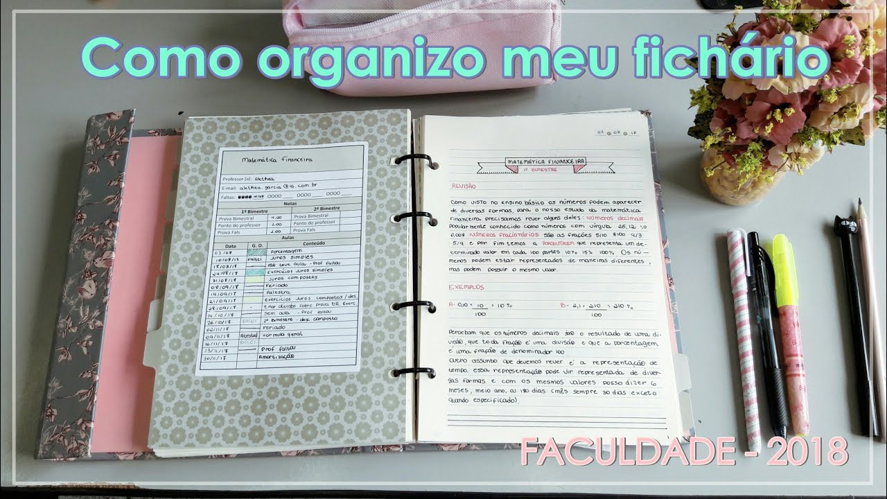 Como organizo meu Fichário - Faculdade | Indi Studies