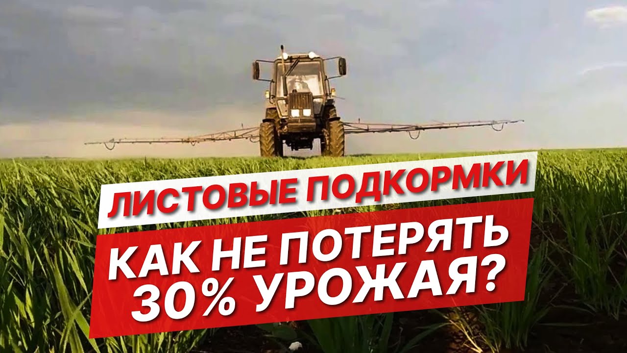 Весенняя подкормка озимых: как использовать жидкие удобрения? | Комплексные удобрения | Комплемет