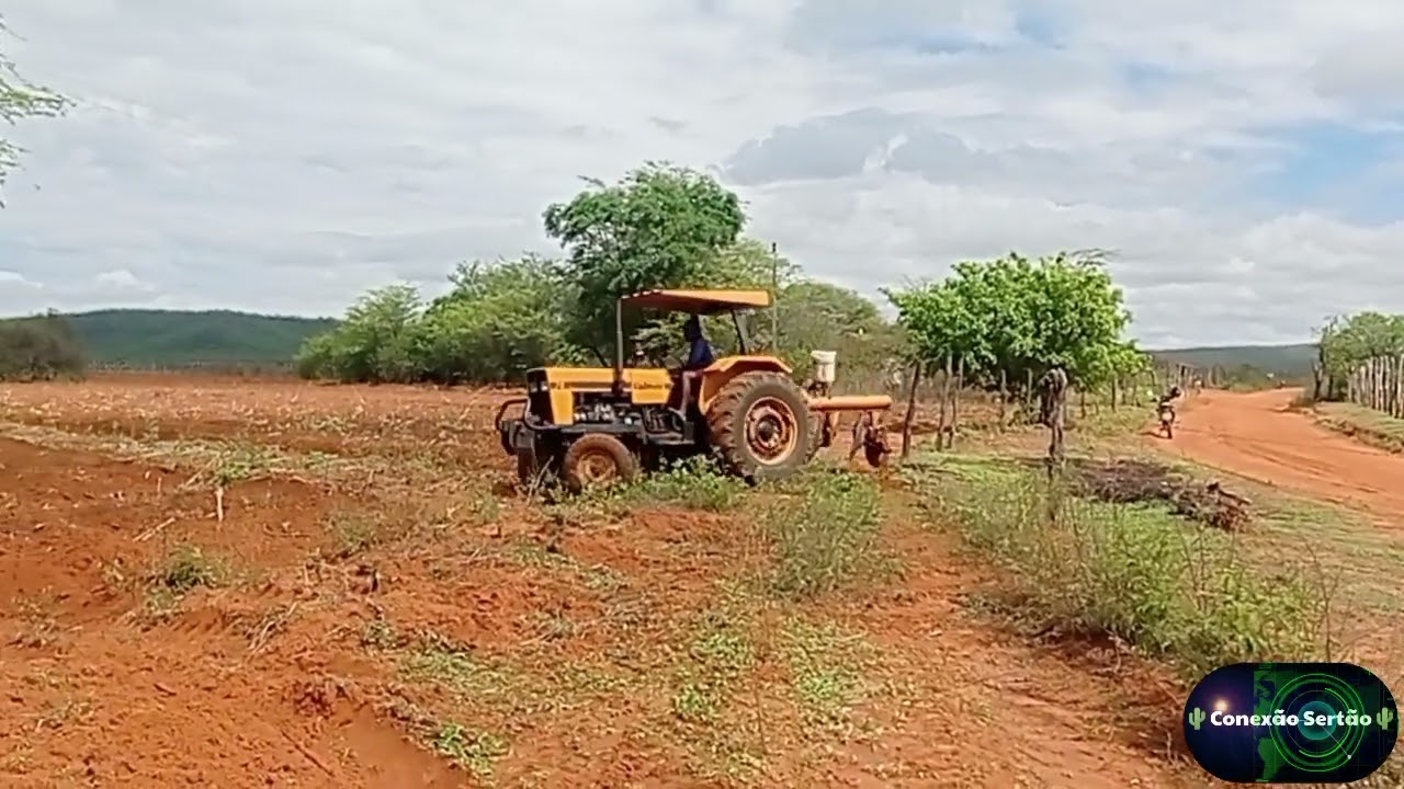 AS PRIMEIRAS CHUVAS JÁ MOVIMENTA O SERTÃO NORDESTINO