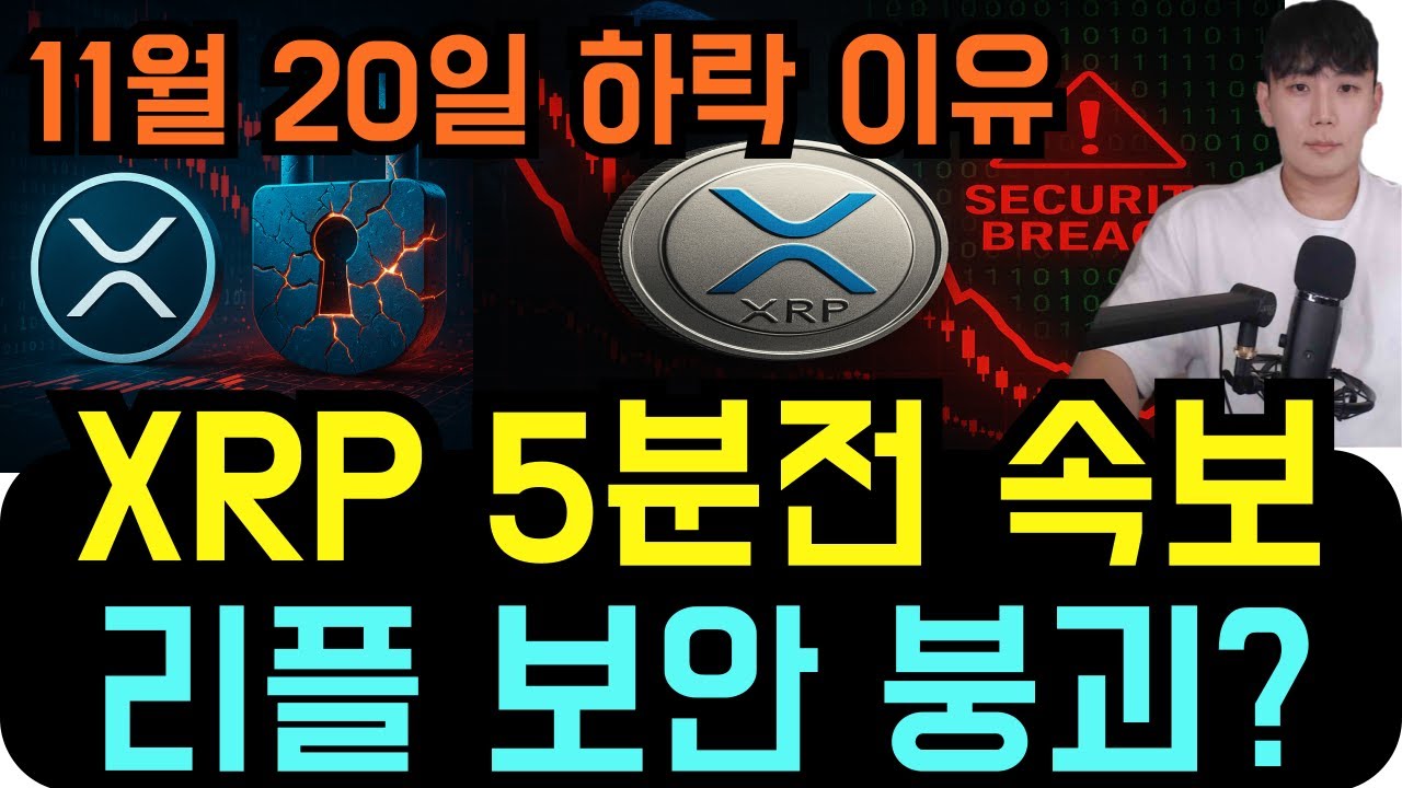 [11월 20일] 리플 XRP [5분전 속보] 지금 하락하는 이유 : 리플 보안 붕괴된다?