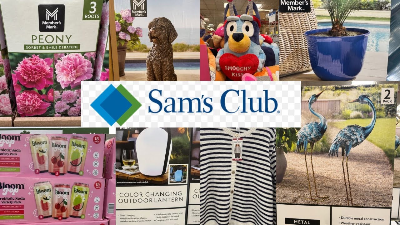 Sam’s Club * Things You SHOULD Be Buying at Sam's Club in January 2026