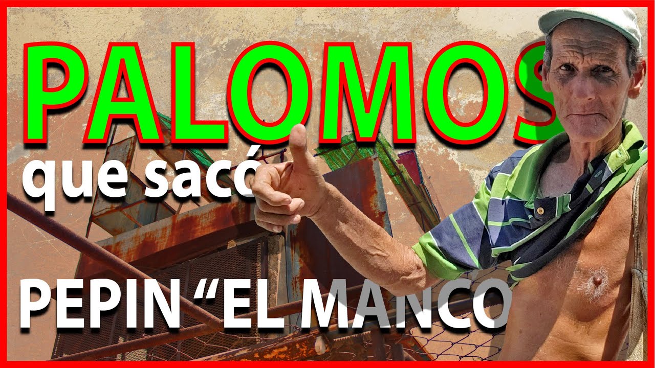 PALOMOS que sacó PEPIN 