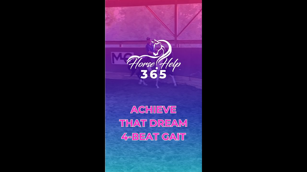 Achieve That Dream 4-Beat Gait