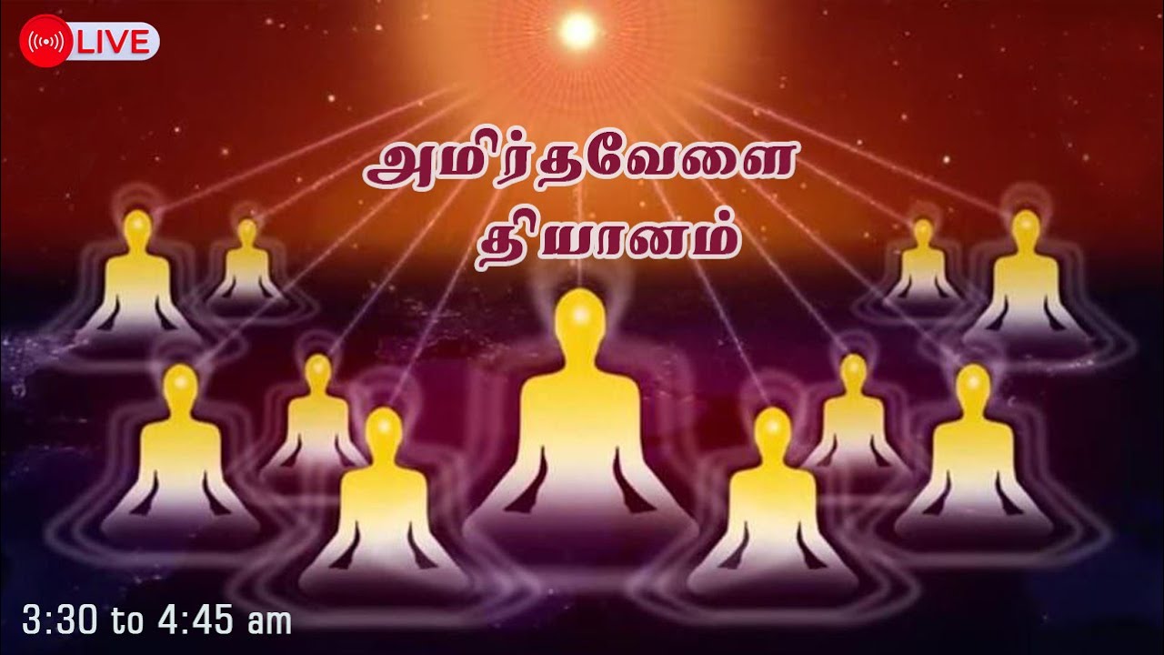 19.01.2026| Amirtha vela Yoga | LIVE Meditation | அமிர்தவேளை தியானம் ....
