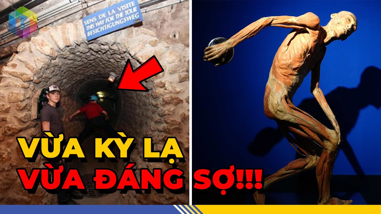 Khó Tin 7 Bảo Tàng Kỳ Lạ Nhất Thế Giới: Nơi Thì Muốn Đến, Nơi Muốn Chạy Mất Dép [Top 1 Khám Phá]