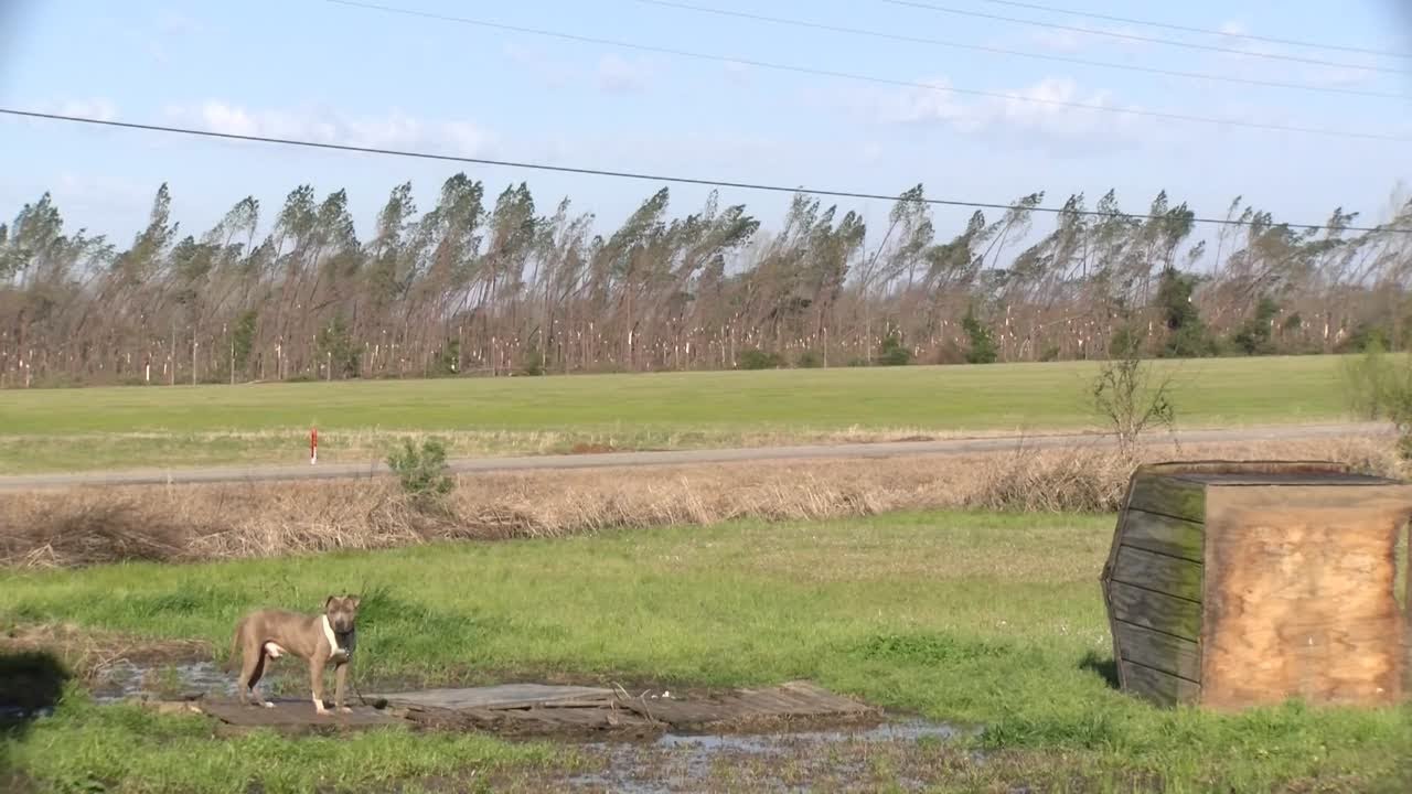 Video - 4 minutes of tornado damage in Wren, MS