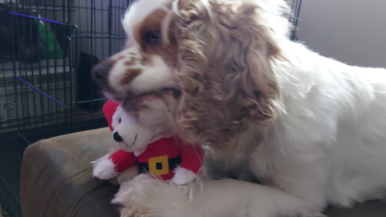 🧸 More Christmas toys...bring it on dad! 🧸