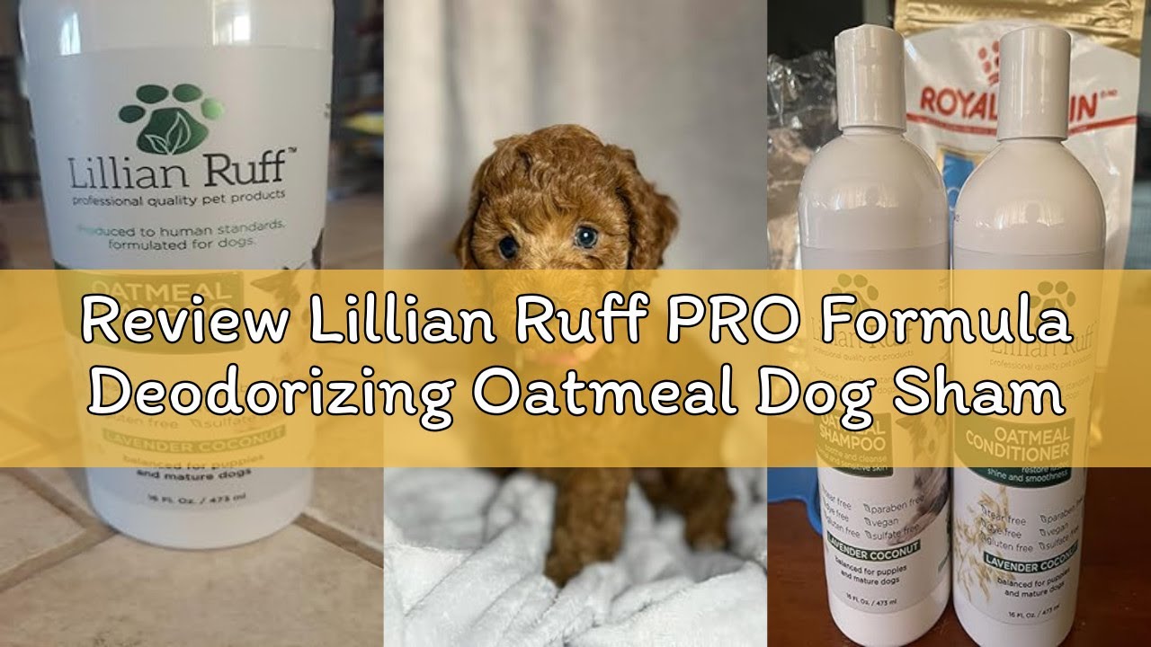 Review Lillian Ruff PRO Formula Deodorizing Oatmeal Dog Shampoo - Calms Itching & Allergies, Ultra-N