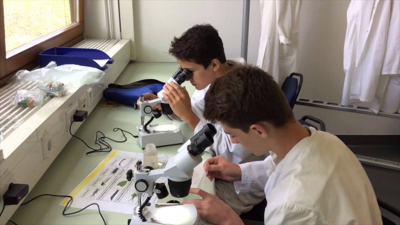Wasseranalyse &ndash; darf es auch ein bisschen Chemie sein?