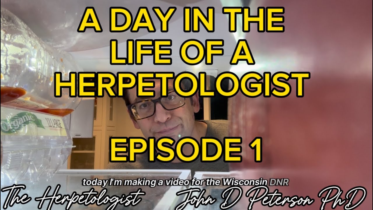 A DAY IN THE LIFE OF A HERPETOLOGIST EPISODE 1 THE HERPETOLOGIST VLOG JOHN D PETERSON PHD