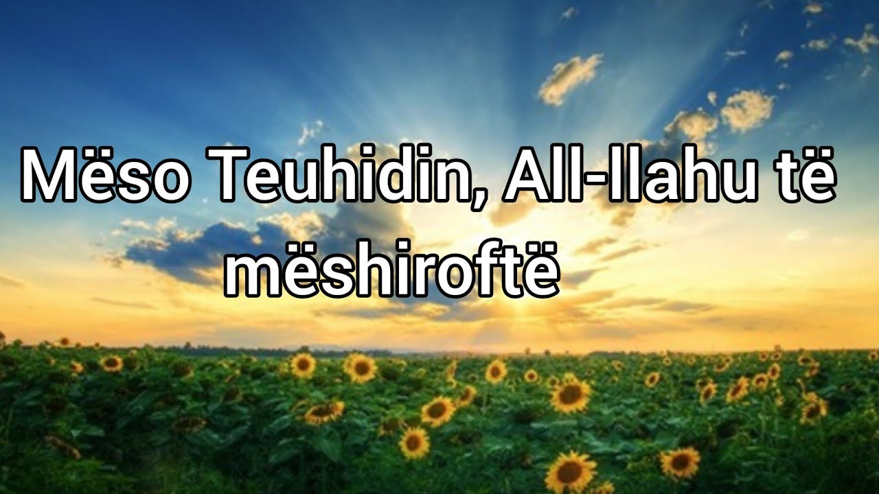 Mëso Teuhidin, All-llahu të mëshiroftë | idhujtarët e pranojnë Teuhidin Rububije | llojet e Teuhidit