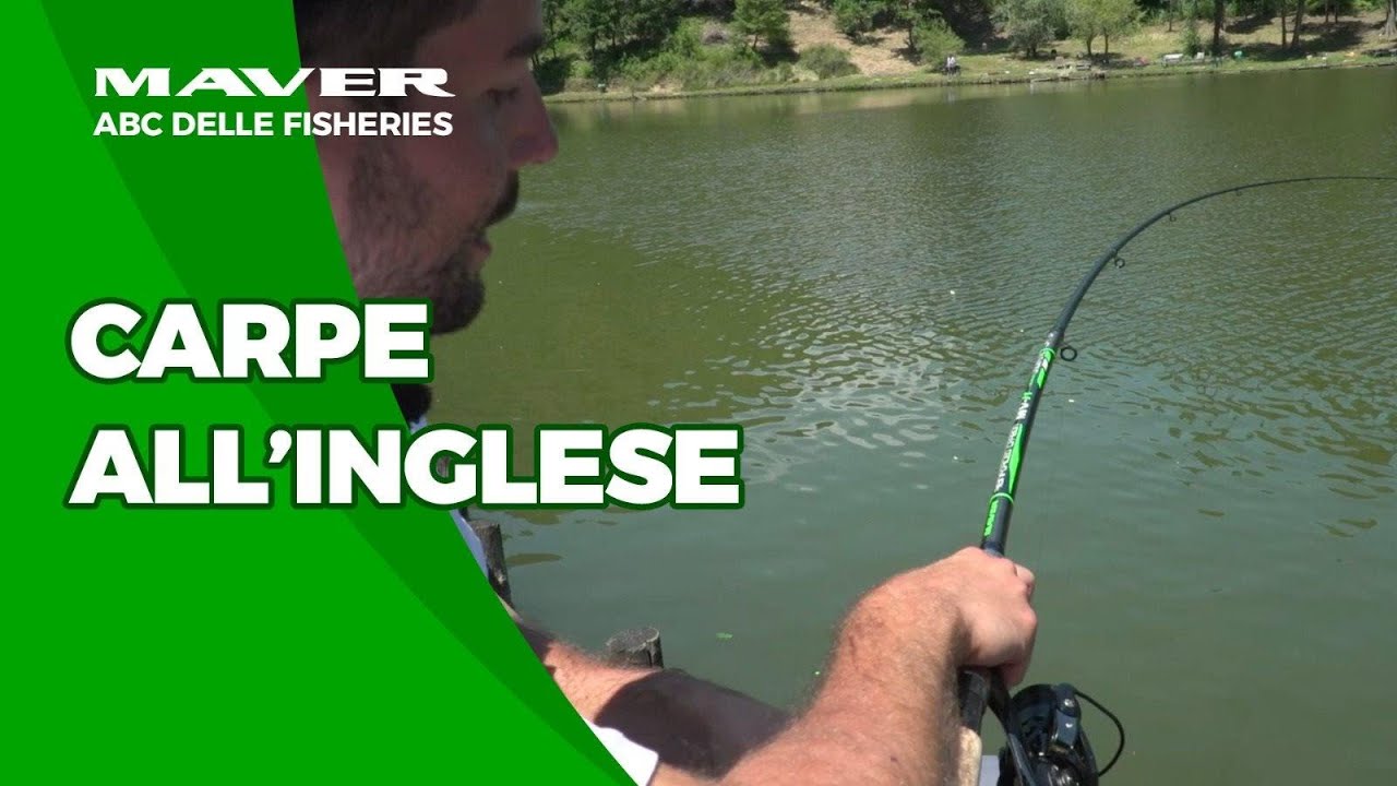 ABC delle Fisheries | Carpe all'Inglese