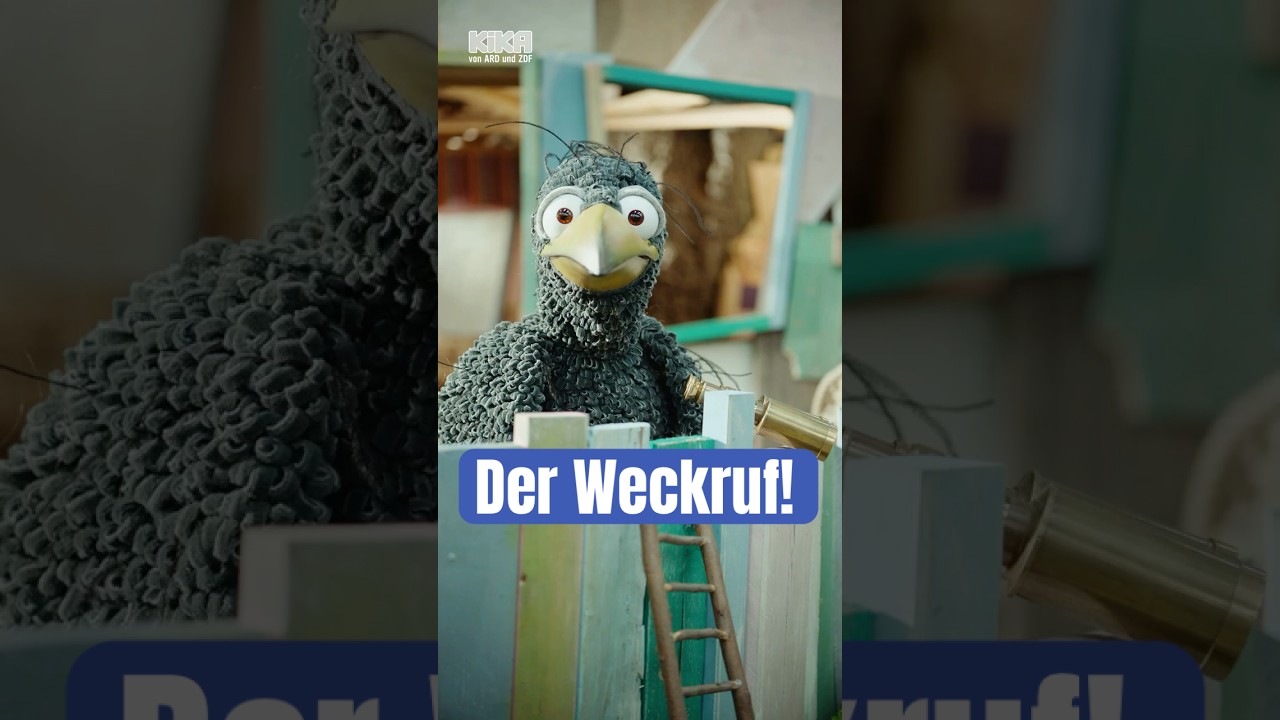 ⏰Am Sonntag ist Zeitumstellung und Rudi ist der allerbeste Wecker. #uhr  #zeitumstellung #winterzeit