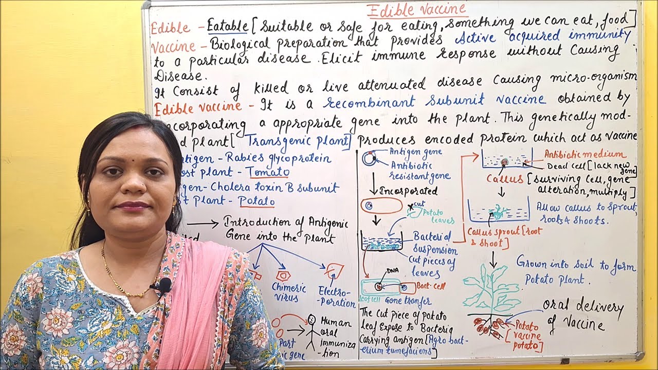 Class 40(1) Edible Vaccine (Part 01) | What is Edible Vaccine | Concept of Edible Vaccine & Examples