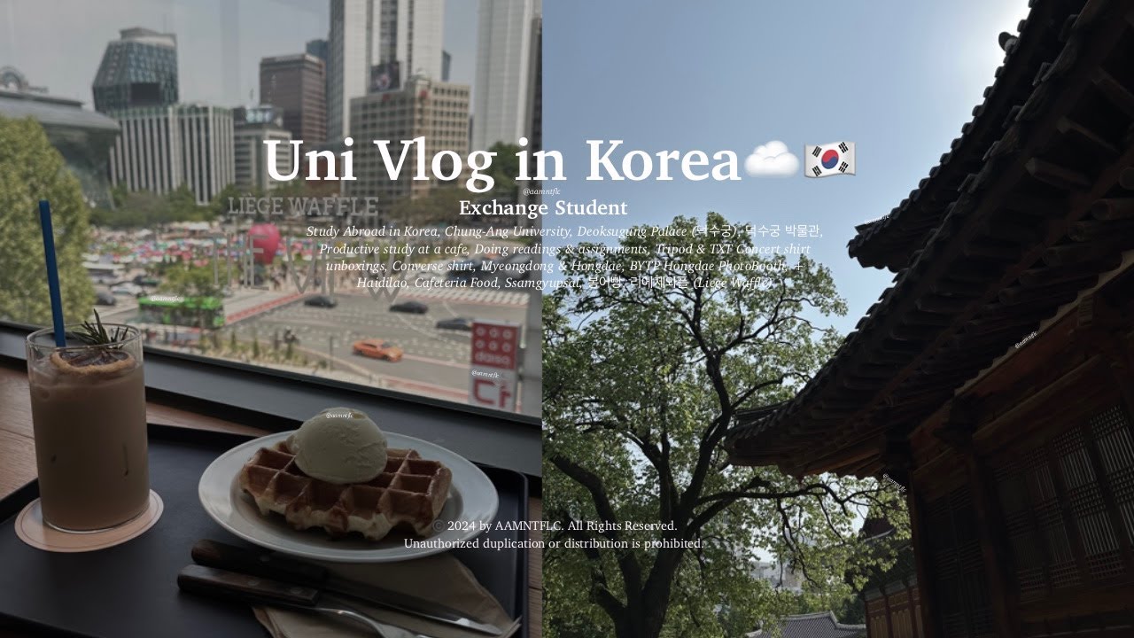Uni Vlog in Korea☁️ | Study in a cafe & Readings☕️📖 | Deoksugung Palace | Haidilao Hongdae🥘 & BYTP📸