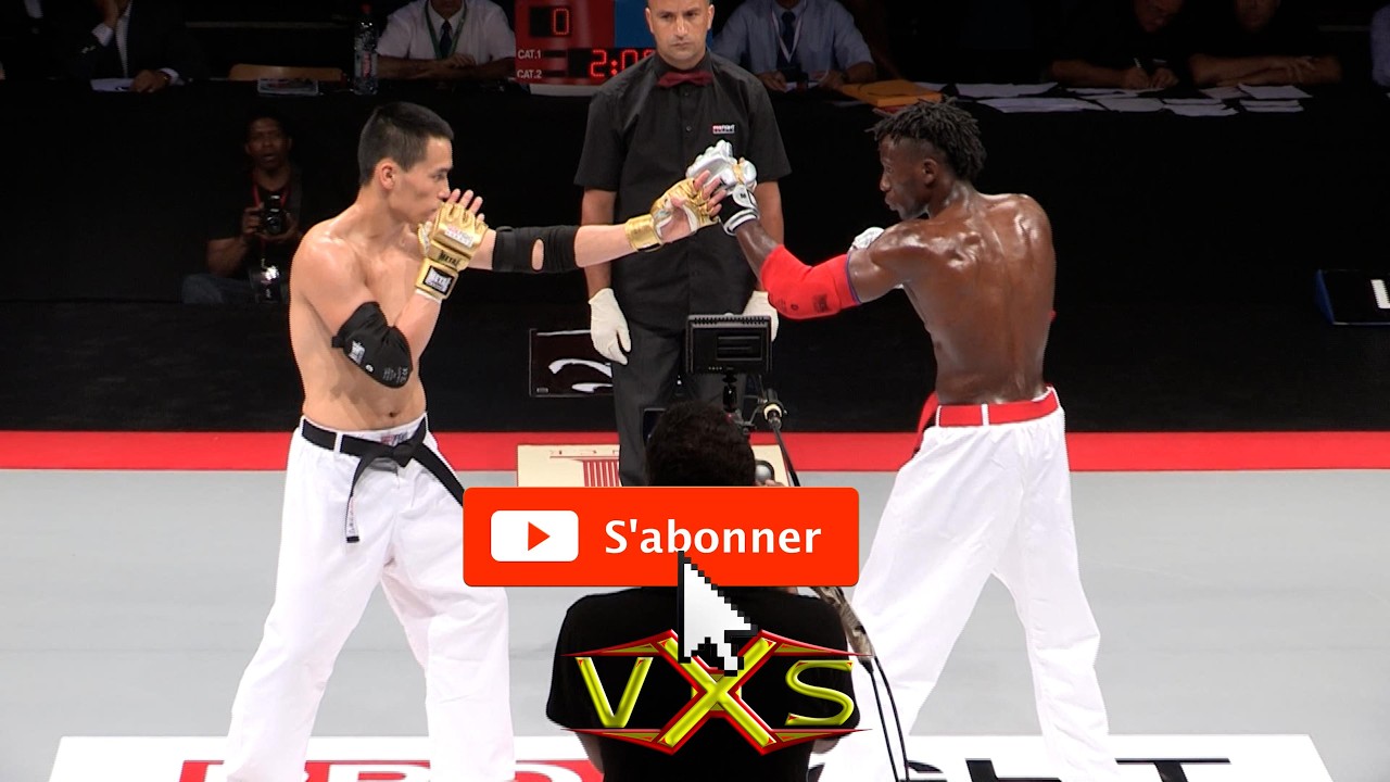 Pierre MOUA vs Philippe SALMON By @vxstv #karate pro fight