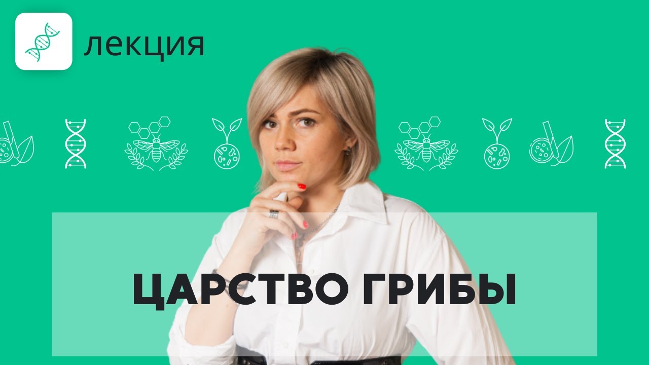 Царство Грибы