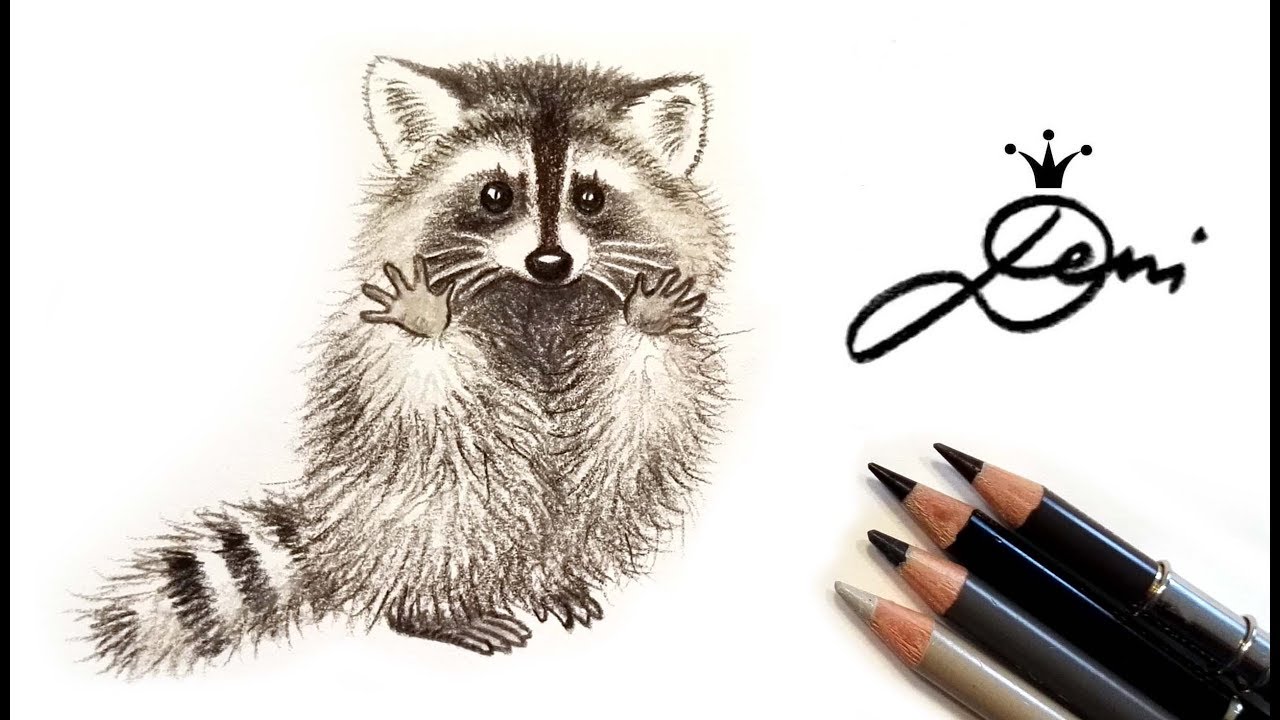 Waschbär zeichnen in Echtzeit ✍🏼 Raccoon Drawing ✍️ рисункa на миеща мечка