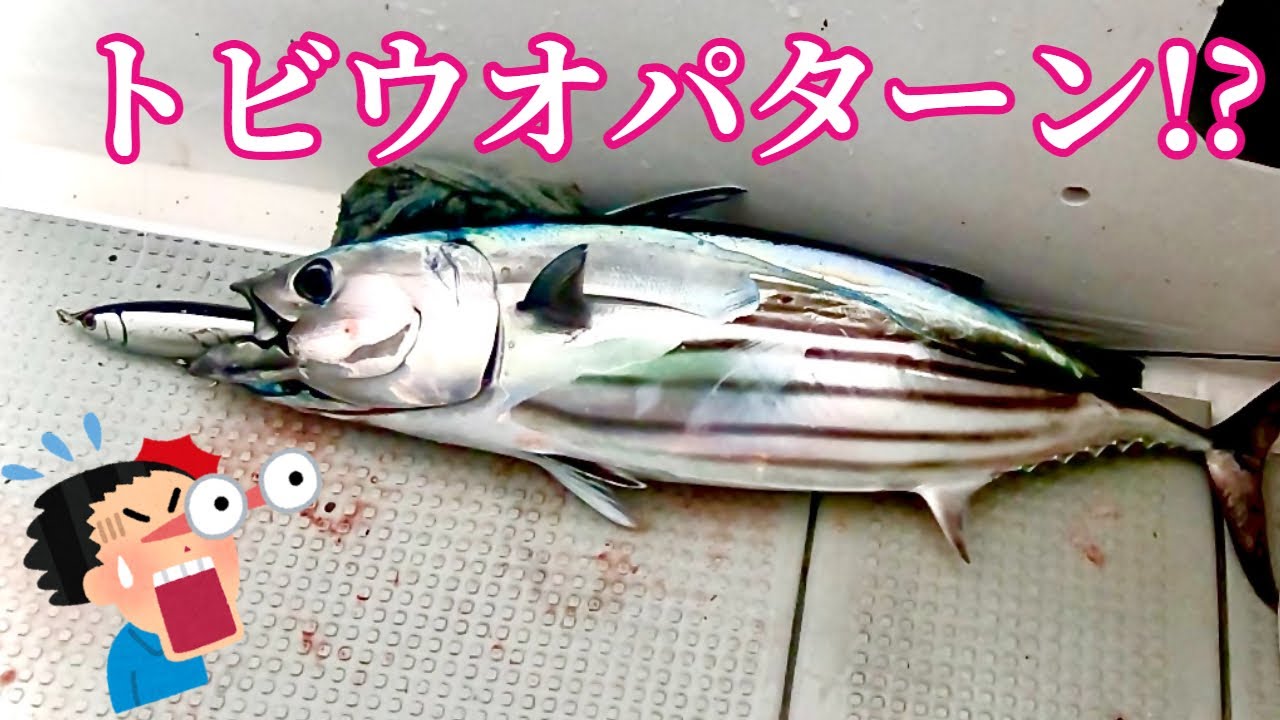 【御前崎・金州】船のカツオ釣り..トップルアーが炸裂！
