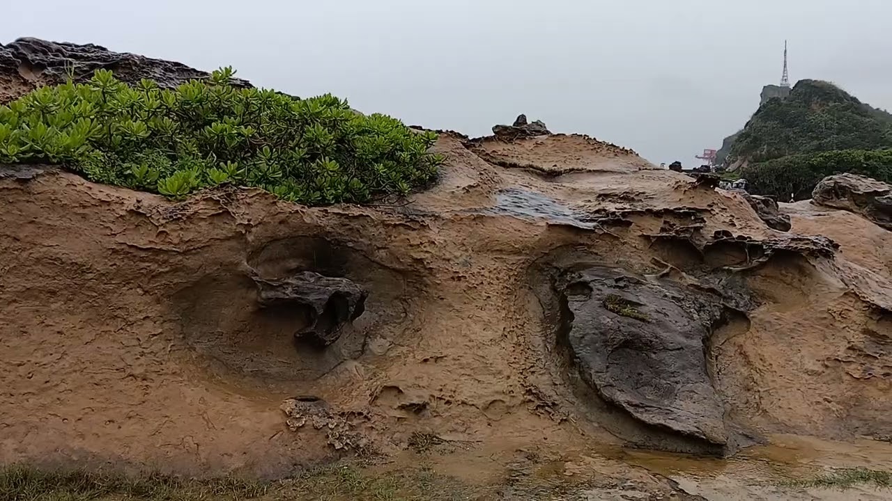Yehliu Geopark in the rain 雨中之野柳地質公園
