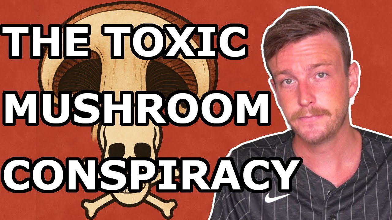 Гриб, о котором мафия не хочет, чтобы вы говорили | King_Trout