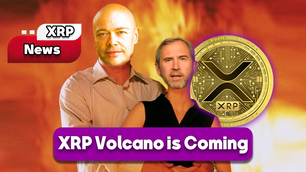 XRP News: Bryant McGill's Prediction XRP expolsion & Ripple SEC case - XRP News Today