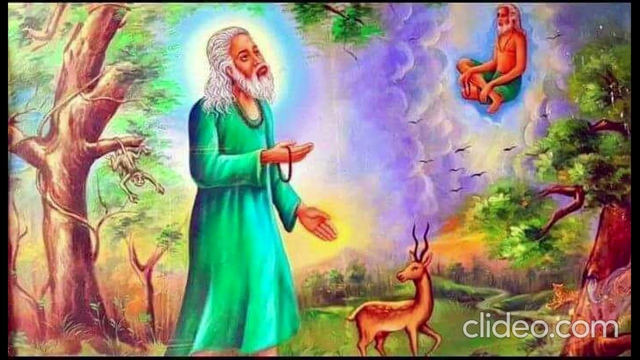 new qawwali 2024 | baba farid qawwali |baba farid girad wale song |baba farid sawane hayat |