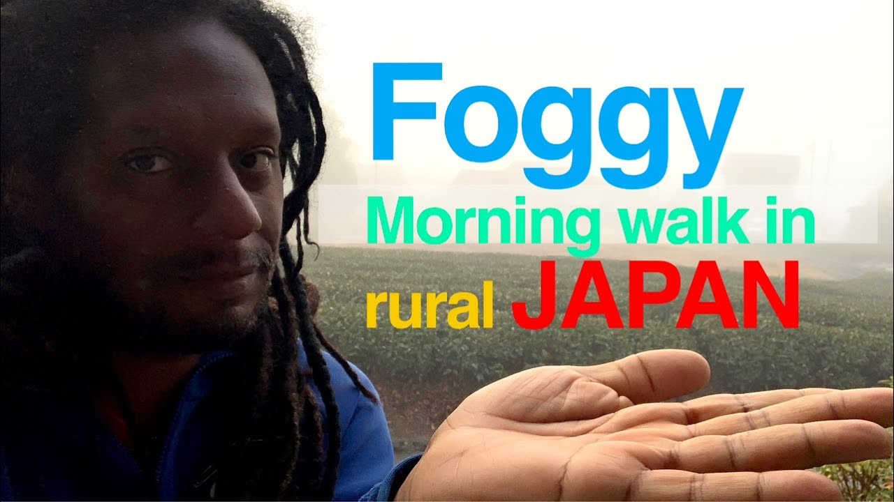 REAL JAPAN: MISTY MORNING  in the countryside morning walk
