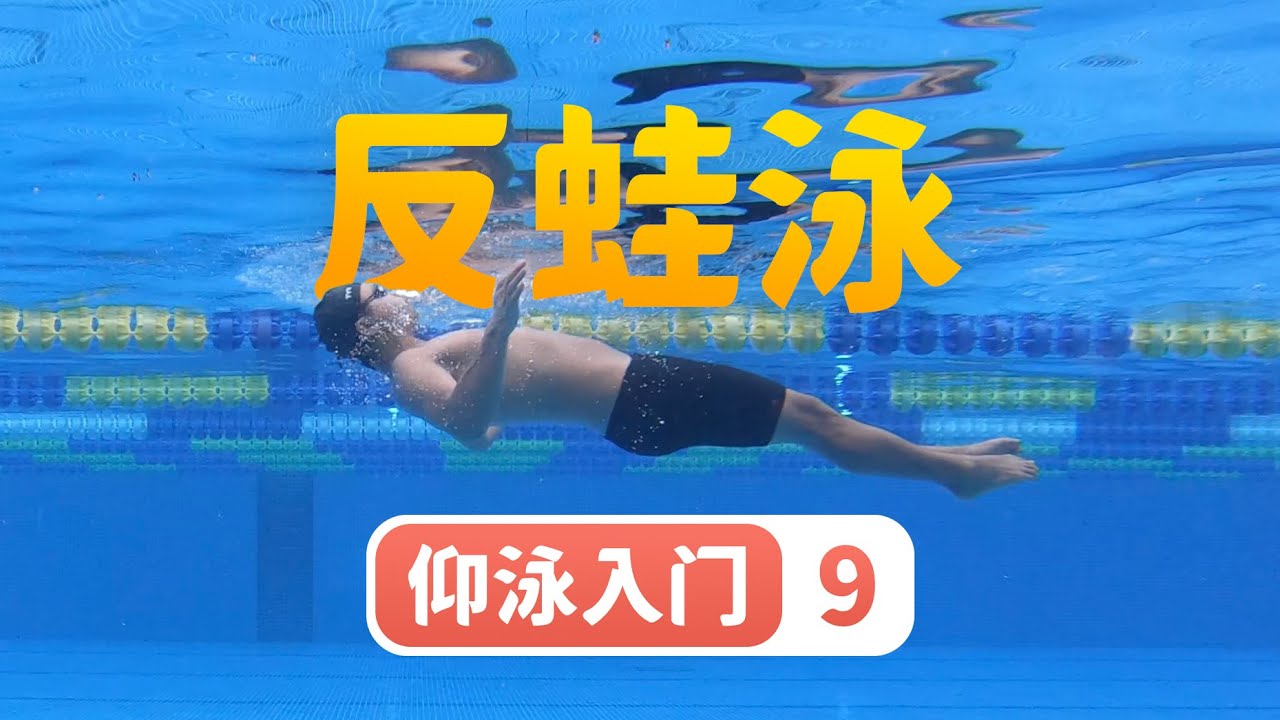 【仰泳入门】9.反蛙泳（换气+仰漂的水性练习）｜梦觉教游泳