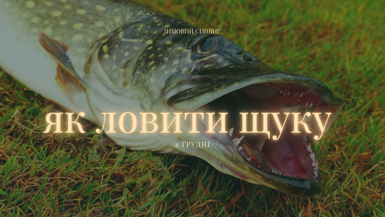 Такого кльову в грудні я не памʼятаю 😱 Щука на великі приманки
