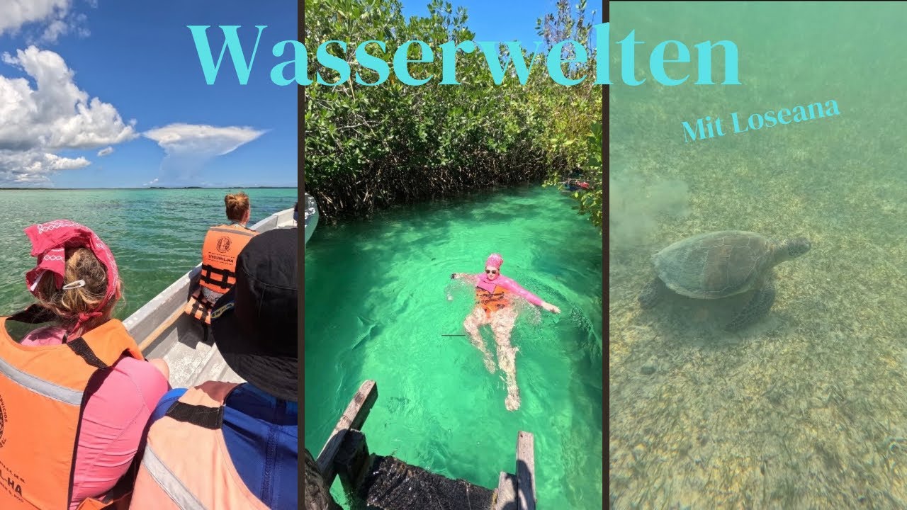 Absolutes Highlight! Ausflug Wasserwelten mit Loseana (Mexiko)