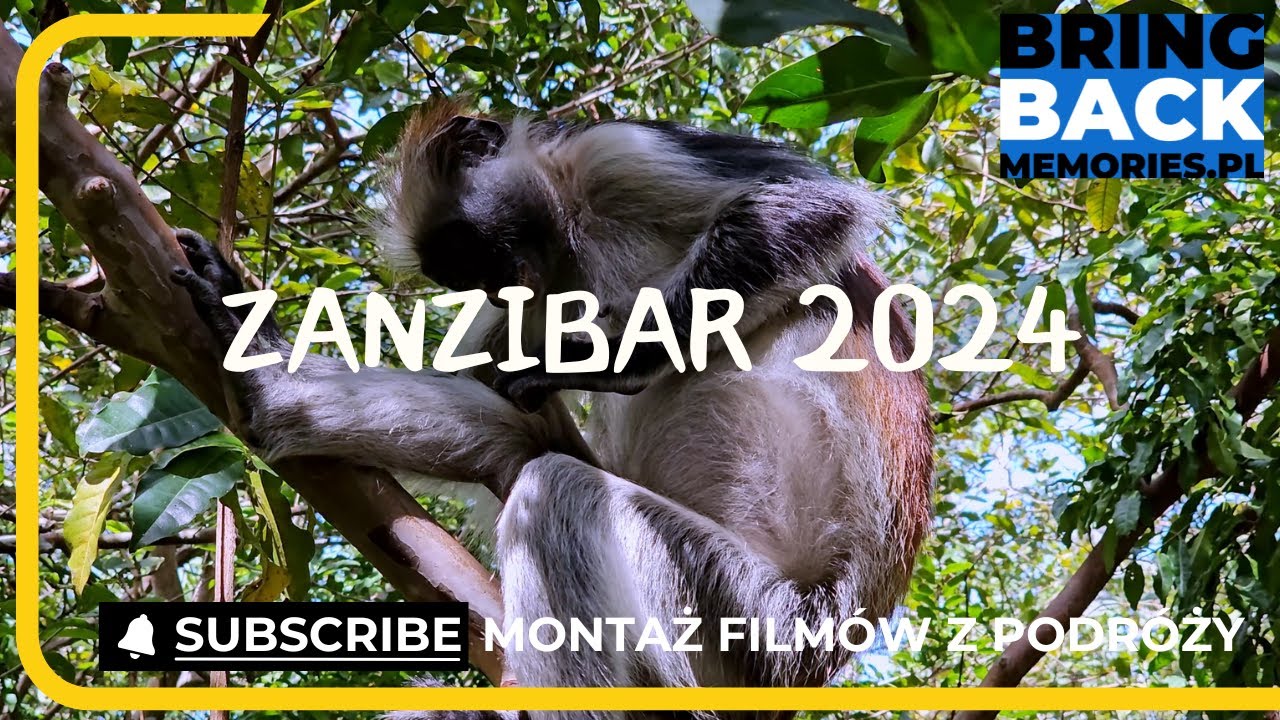 Zanzibar Tanzania - Co warto zobaczyć na Zanzibarze? - Montaż filmu - Hakuna Matata Zanzibar travel