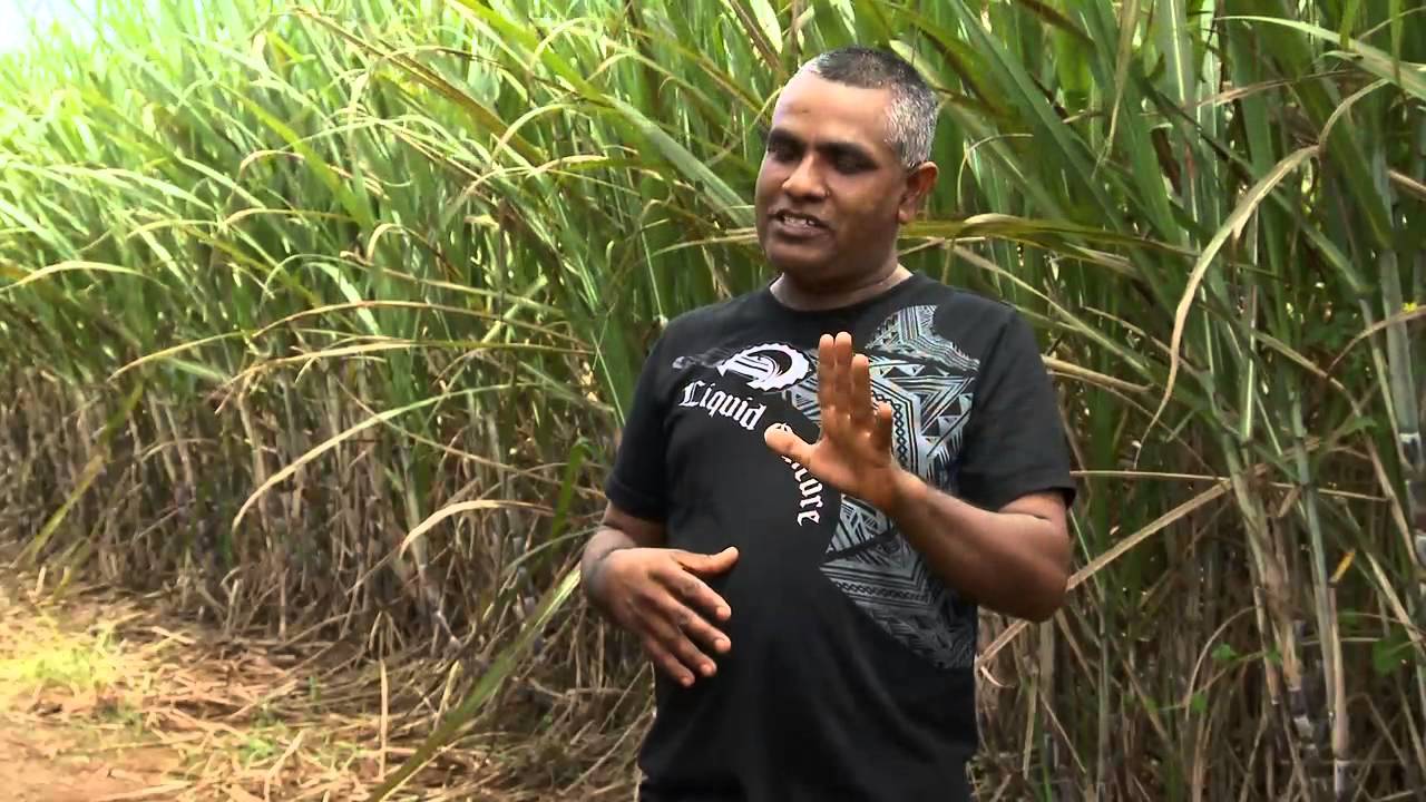 LENDING A HELPING HAND (Full Documentary)