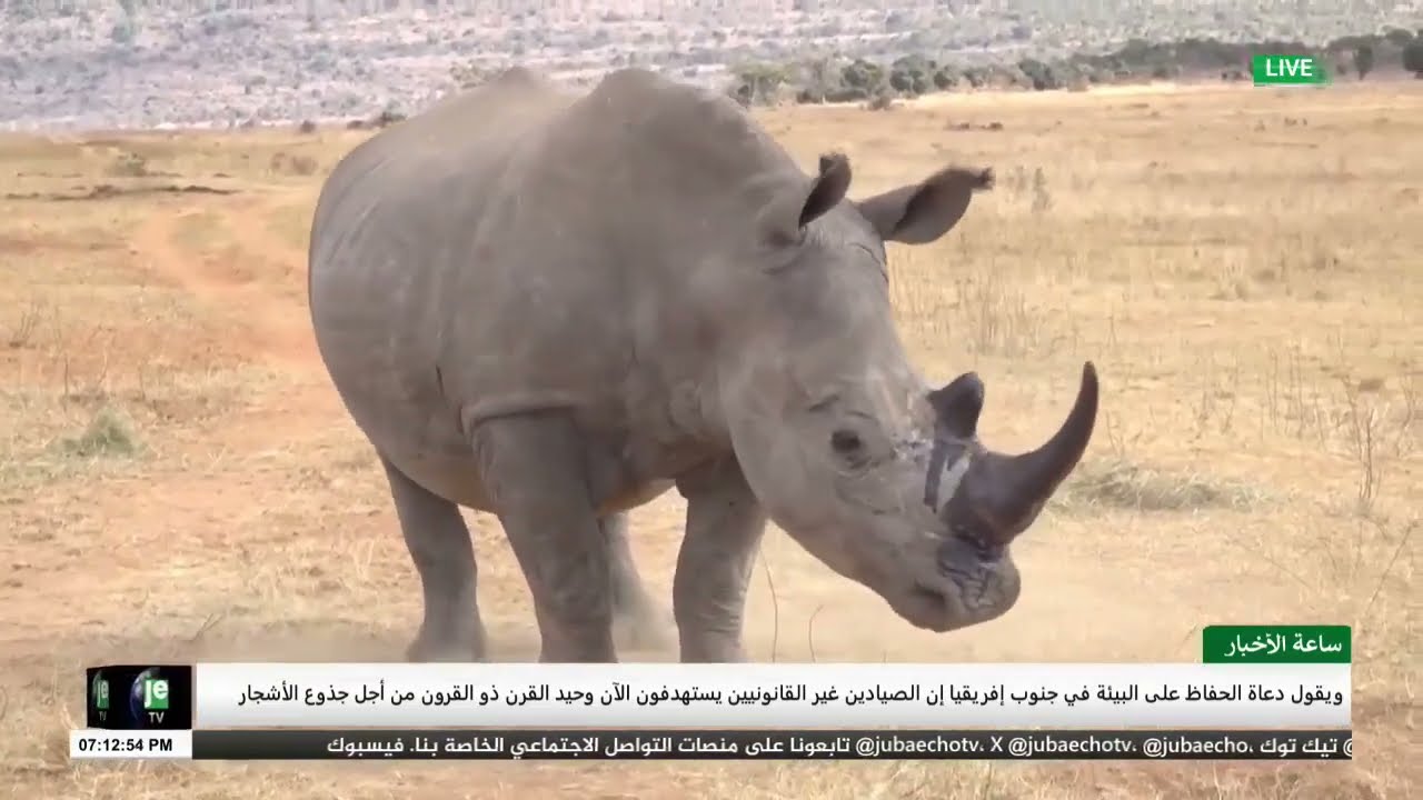 ساعة الأخبار