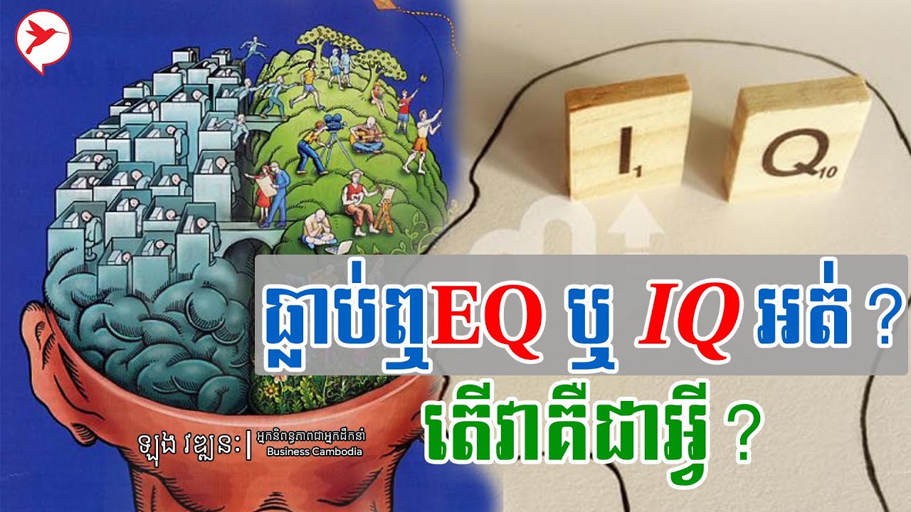 ធ្លាប់ឮEQ ឬ IQ អត់? តើវាគឺជាអ្វី? | Long Vathanak - មាគា៍បុគ្គលឆ្នើម