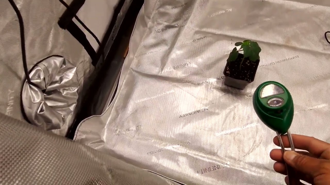 Распаковка и тестирование/обзор AC Infinity EVO4 #Ion Frame EVO4 #Raw Video.