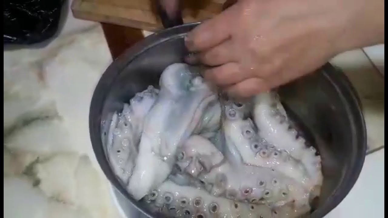 comment nettoyer un #poulpe 🐙 كيفية تنظيف#القرنيط  #الأخطبوط