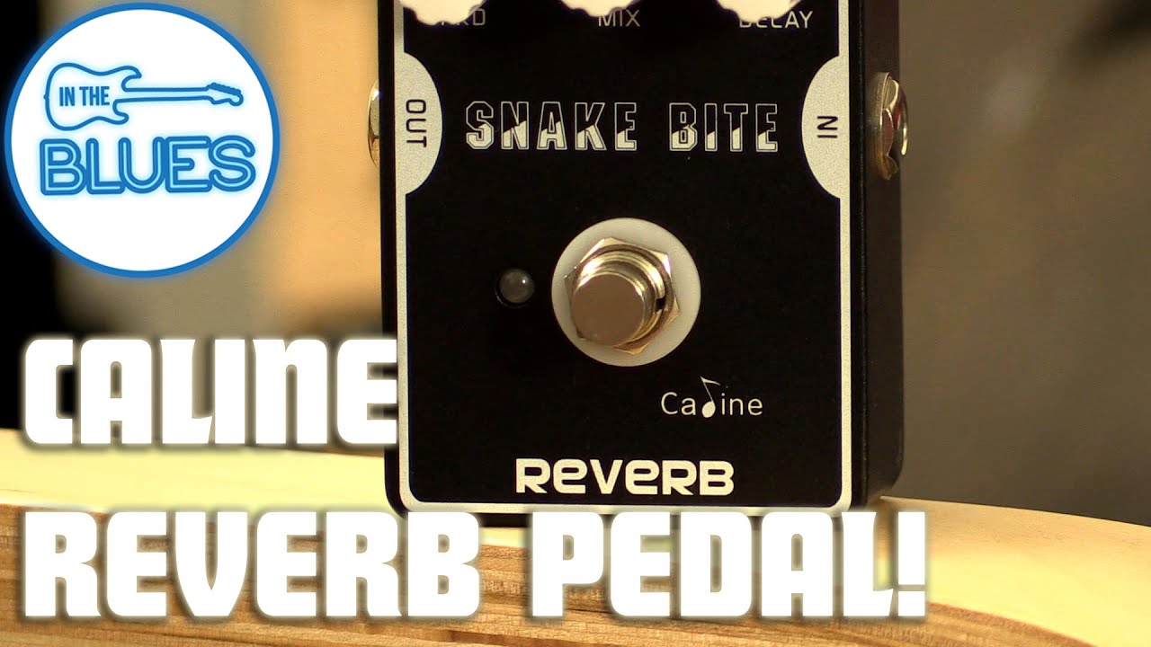 Caline Snake Bite Reverb Pedal