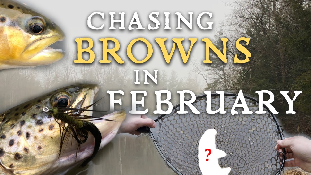 Seeking Wintertime Trout in New England