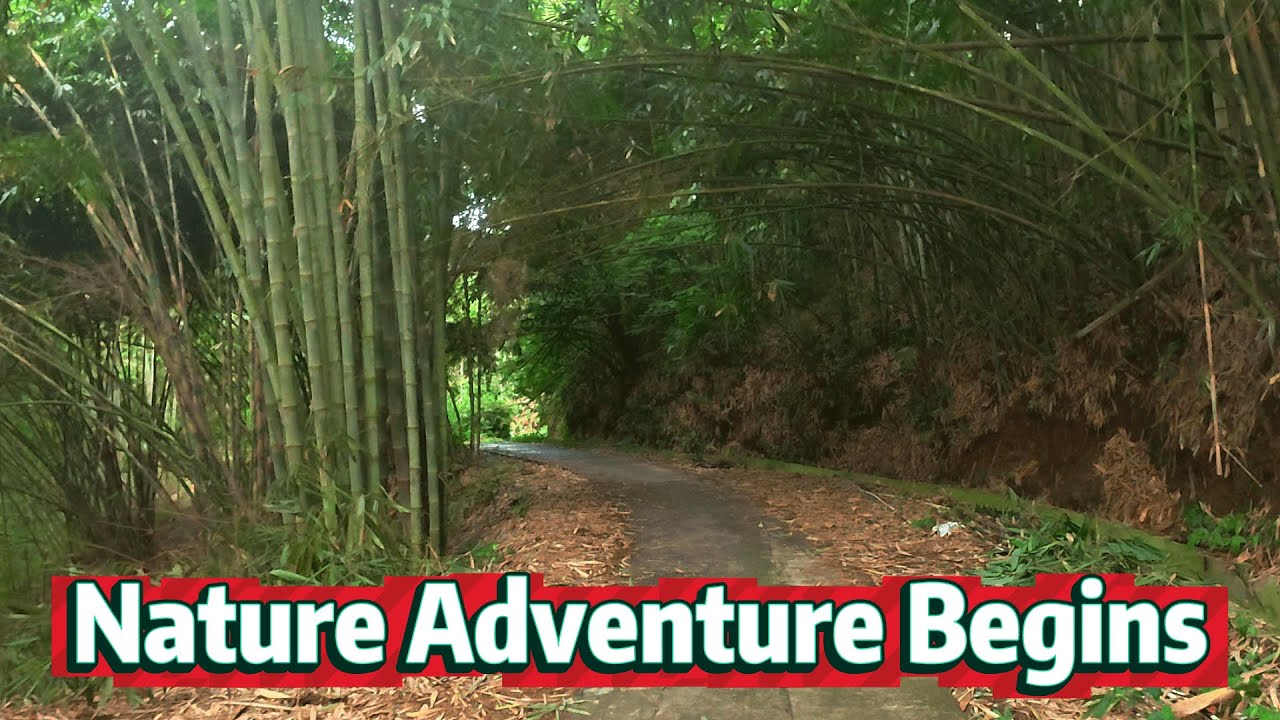 Plantation Nature Adventure | Relaxing Outdoor Journey