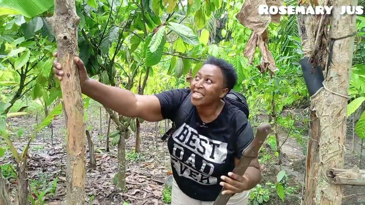 Kenyan 🇰🇪First Time To Visit A Cocoa Farm In 🇳🇬 Nigeria