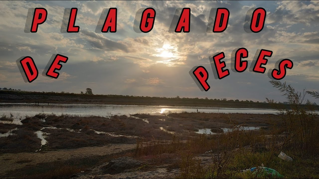 PESCA EN LA CASCADA// EPISODIO 3 TEMP 4