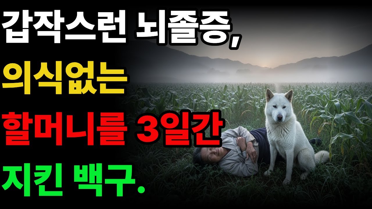 산속에서 쓰러진 할머니, 백구가 3일간 할머니를 지키는데... #감동사연 #황혼사연 #백구 #강아지 #사연 #시니어 #황혼 #진돗개사연