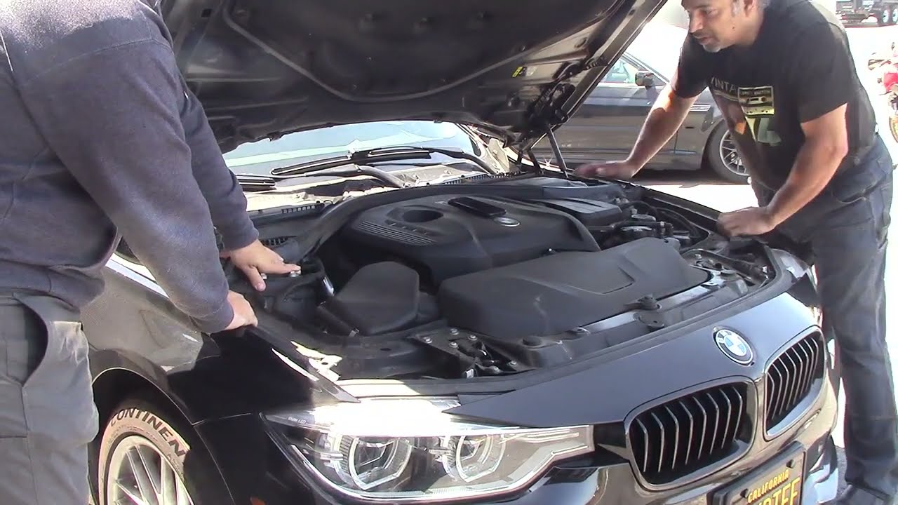 Real-world Science - Bouncing the front suspension of an F31 BMW xDrive wagon: 1.63Hz