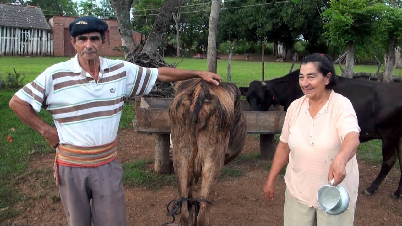 Testimonio MAG- Caazapá: Centro de acopio de leche y comercialización en Yuty
