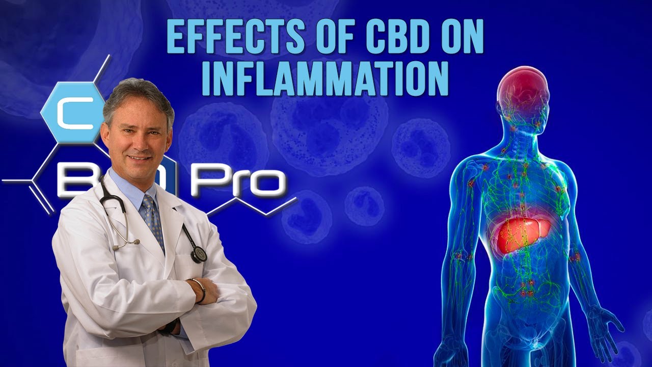 Effects of CBD on Inflammation